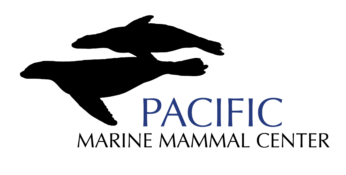 pacificmmc